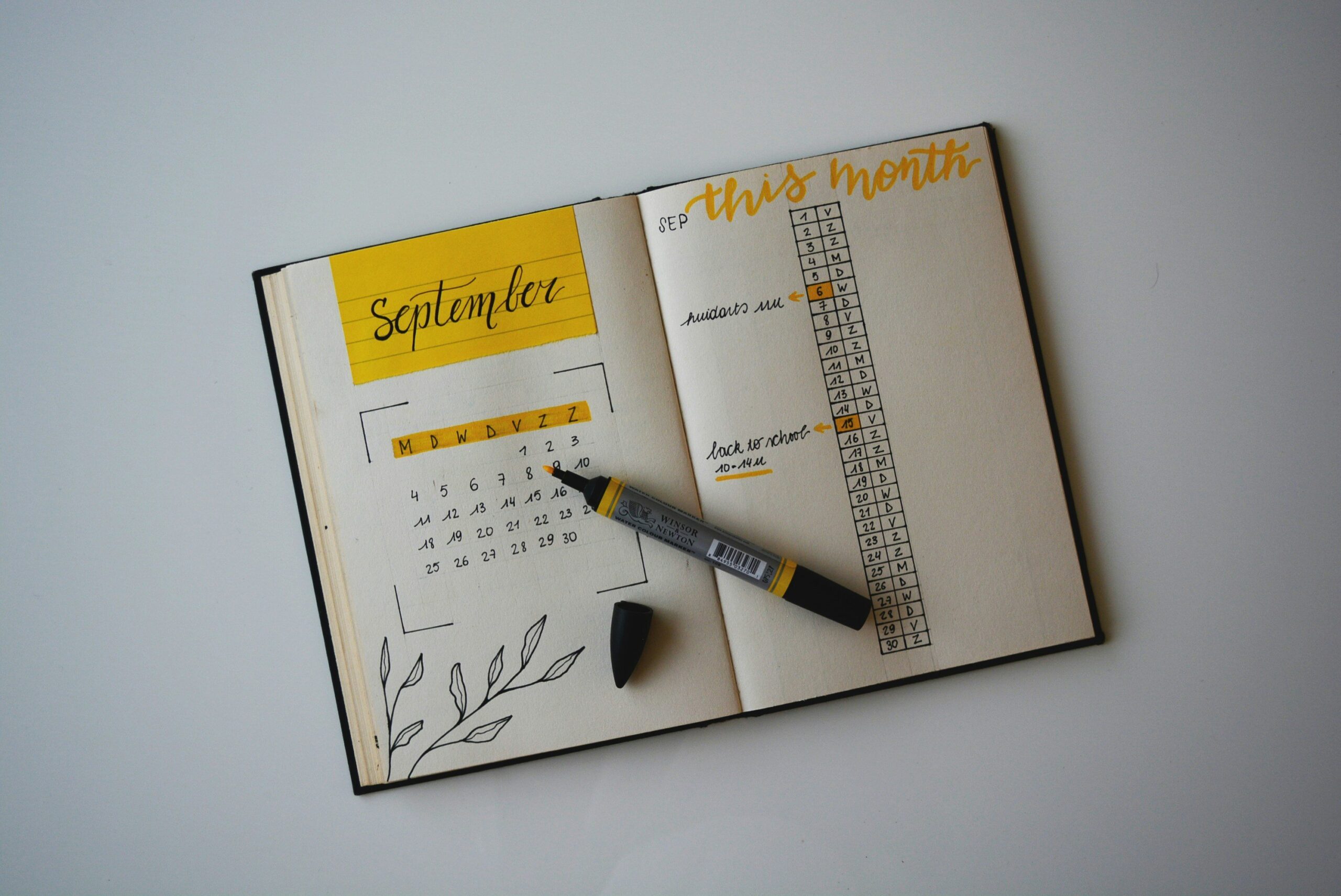 Why Your Day Feels Like Chaos (And How a Daily Planner App Can Fix It)